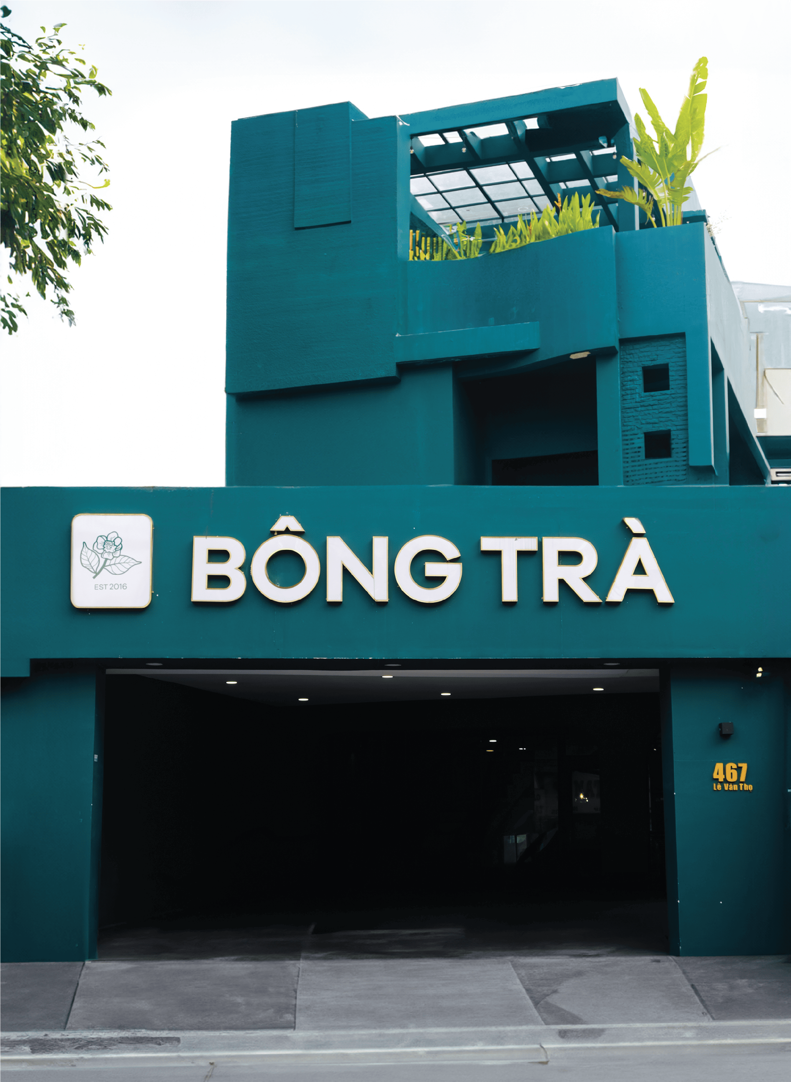 Hành trình Bông Trà 2024