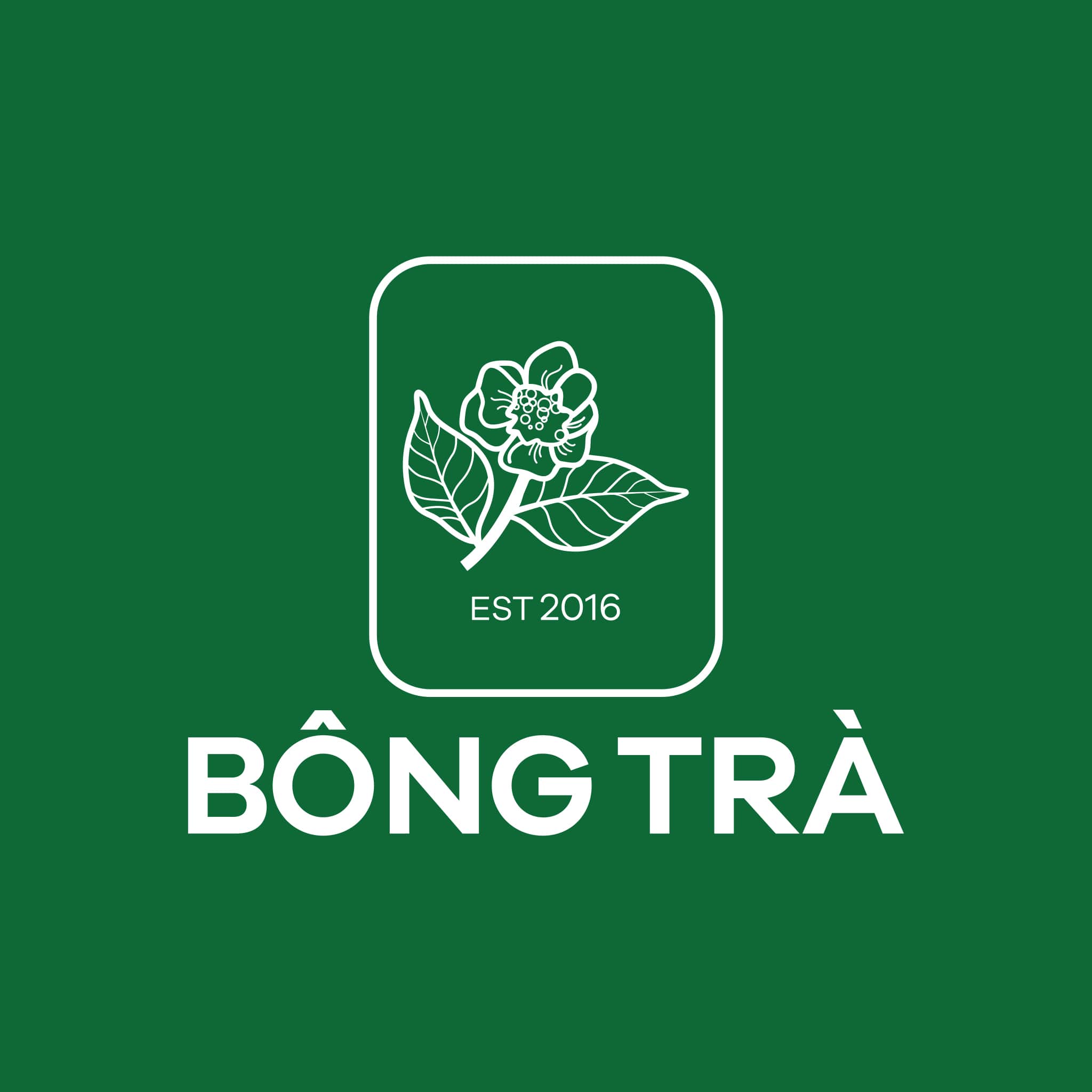 Bông Trà Lũy Bán Bích
